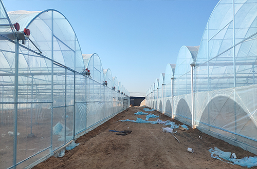 Simple multi-span film greenhouse construction