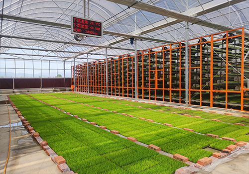 蔬菜温室大棚建设设计与施工技术