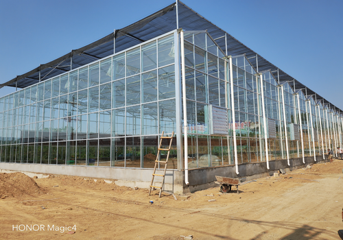 1000平米玻璃温室大棚建设的补光系统特点