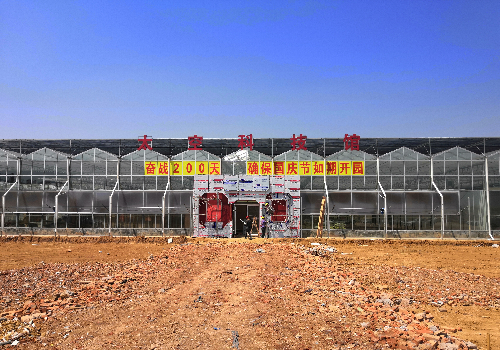 1000 square meters glass greenhouse construction process