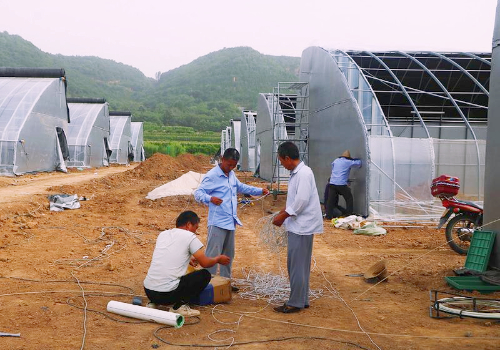 承建日光温室项目 做大棚蔬菜产业