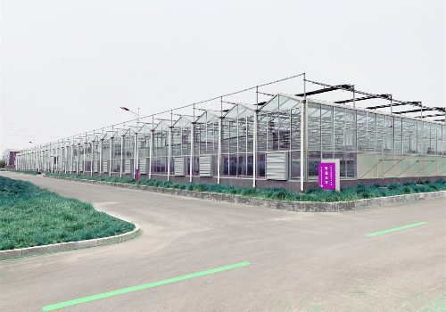 智能化连栋玻璃温室大棚建设概念