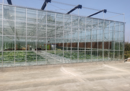 Construction design of new intelligent glass greenhouse