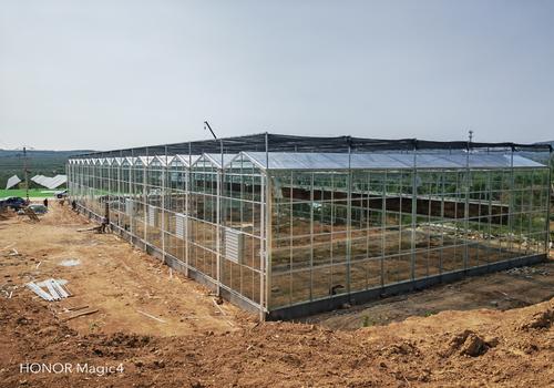  3000平米连栋玻璃温室大棚建设造价参考