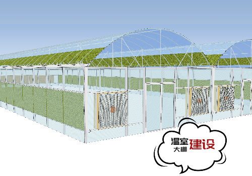 为什么 2026 温室大棚建设必爆？三大红利挡不住！​