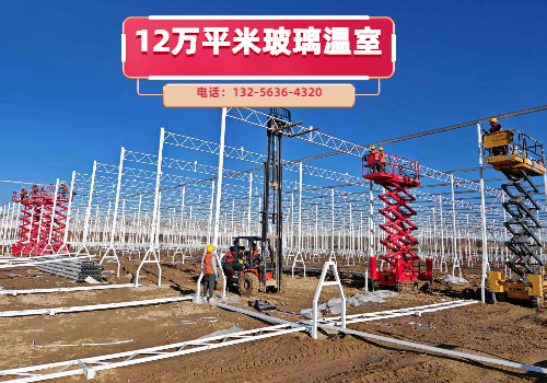 山东寿光专业建棚公司大棚建设的造价计算核心