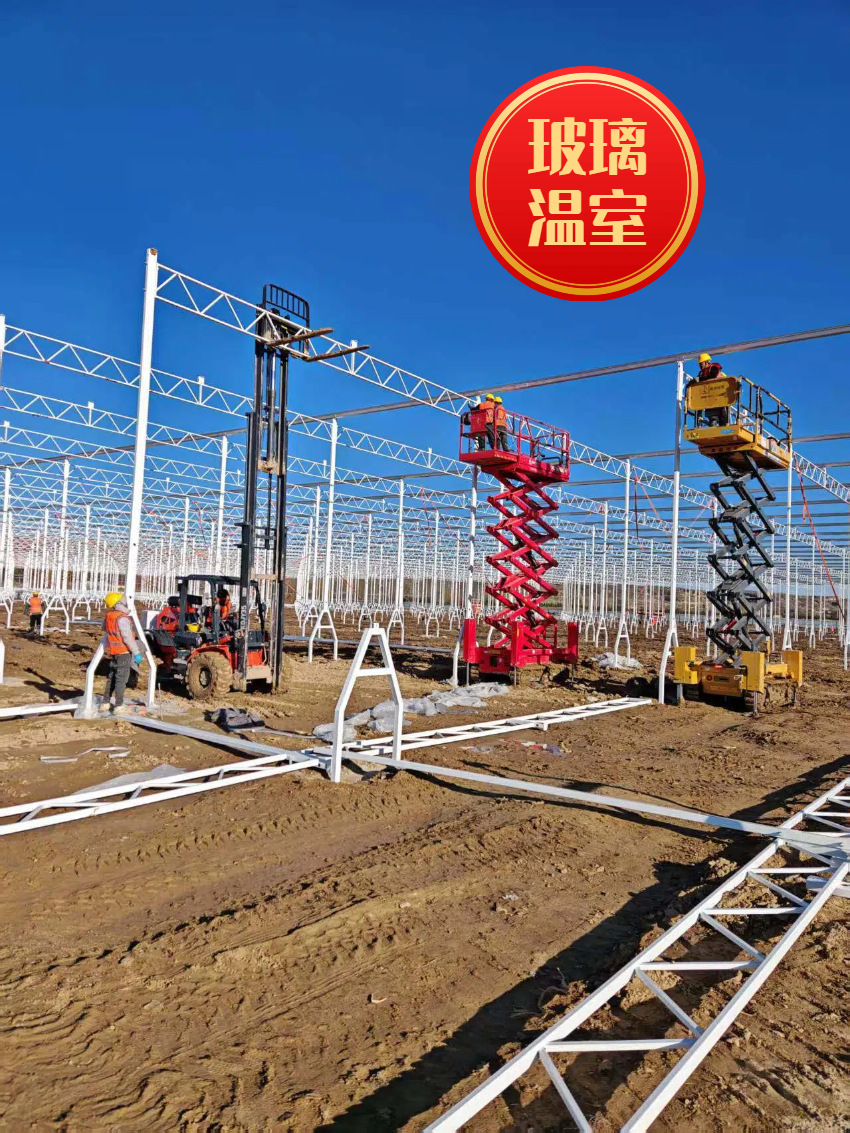 山东寿光玻璃温室大棚建设