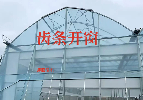 玻璃温室大棚建设厂家_专业温室设计与大棚建设一站式服务