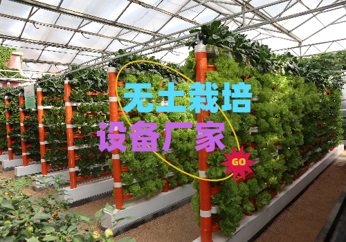 无土栽培设备源头厂家：一站式解决方案，助力农业高效升级
