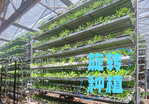 旋转立体蔬菜种植机｜寿光菜博会 “蔬菜摩天轮” 无土栽培黑科技